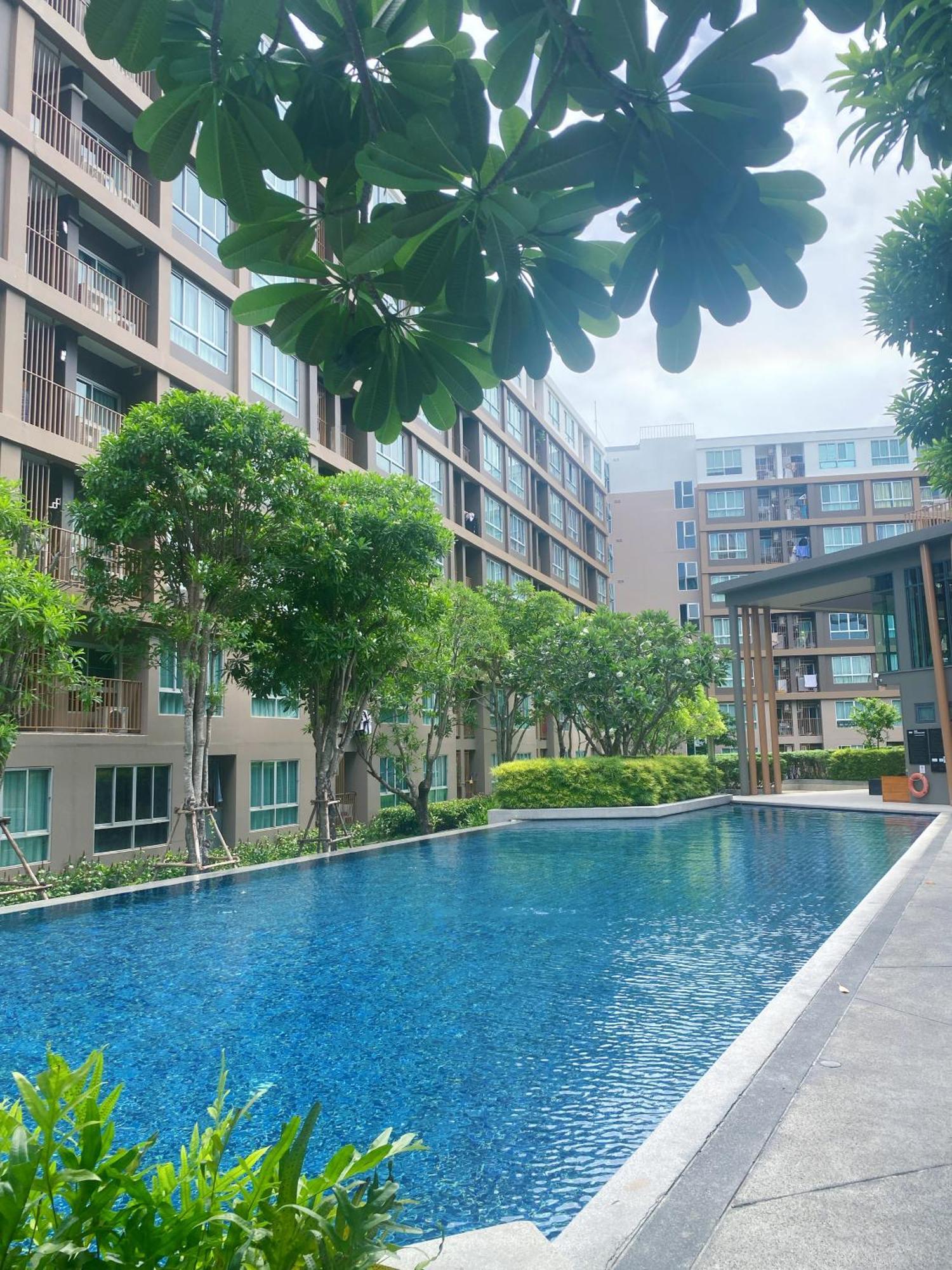 Pool View In Patong Apartment